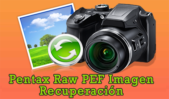 Pentax Raw PEF Imagen Recuperación - Cómo A Obtener atrás Eliminado PEF Archivos