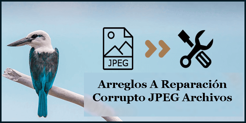 cómo reparar dañado o corrupto JPEG archivos