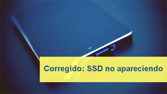 SSD no apareciendo en administración de disco