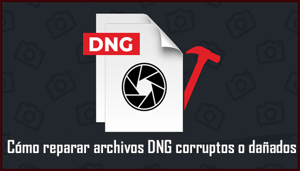 cómo reparar archivos DNG