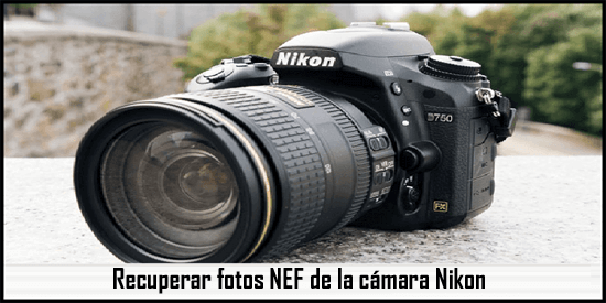 Recuperar fotos NEF de la cámara Nikon